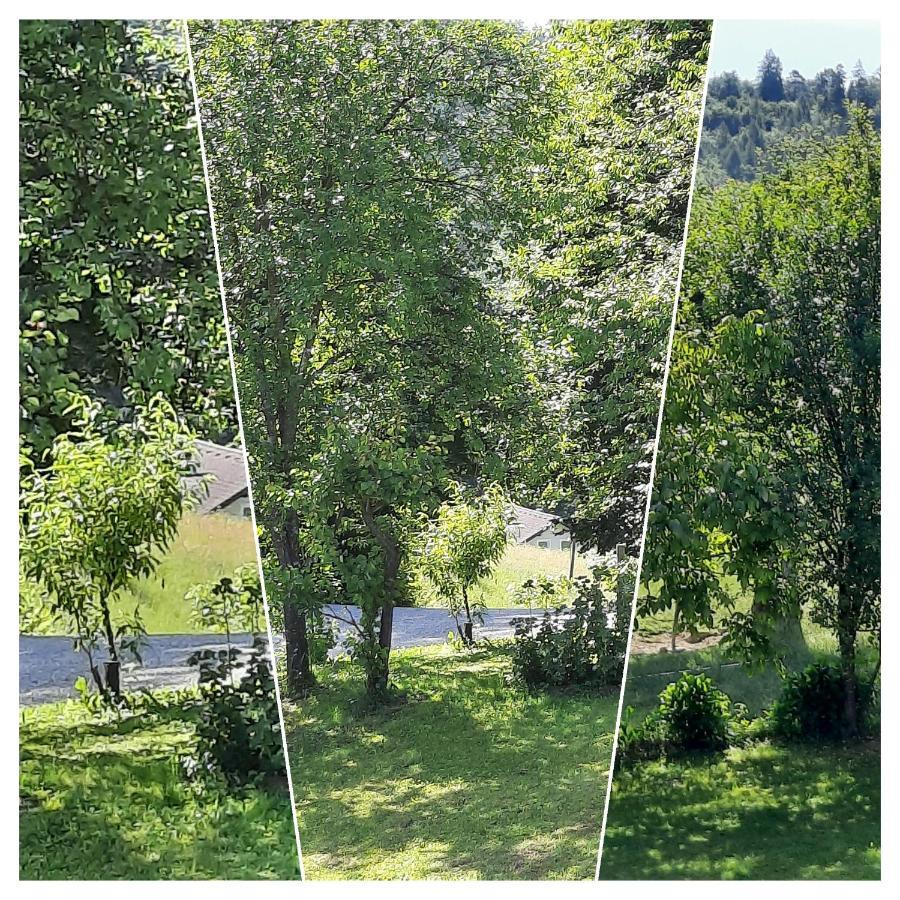 Holiday Home Neokrnjena Narava Sevnica Bagian luar foto