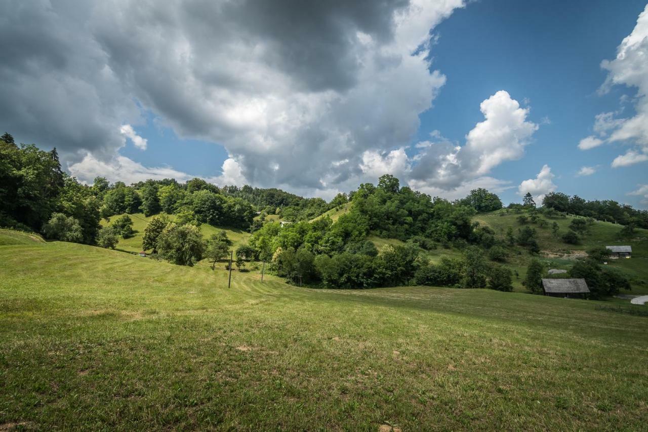 Holiday Home Neokrnjena Narava Sevnica Bagian luar foto